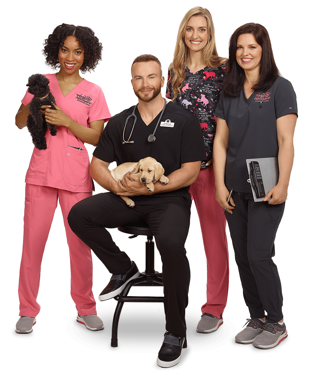 embroidered group scrubs